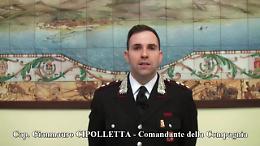 «Le corse clandestine? Usate per investire i soldi delle cosche»