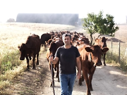 Il caciocavallo siciliano finalista al Italian Cheese Award 2023