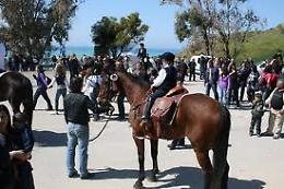 Palma, la Questura dice no alla sfilata dei cavalli. Il sindaco: &laquo;Mi adeguo, ma non condivido&raquo;