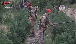 Catania, lo Squadrone dei Cacciatori di Sicilia a supporto dei carabinieri contro i clan