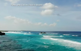 Squalo attacca ragazza, turista perde una gamba a Turk e Caicos