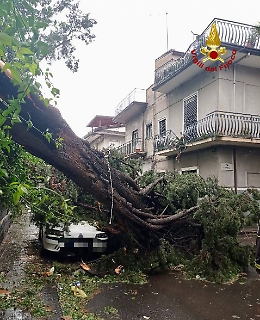 Il vento sferza Catania, 65 interventi dei vigili del fuoco