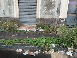 Catania: marciapiedi impraticabili e pieni d'erbacce, emergenza in via Archimede