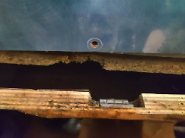 Vandali alla Consulta Giovanile di Aci Catena, la sindaca: «Sono stati dei balordi»