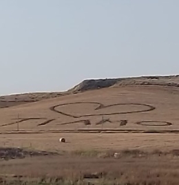 Il "crop circle" romantico a Butera: ma l'innamorato non &egrave; un alieno
