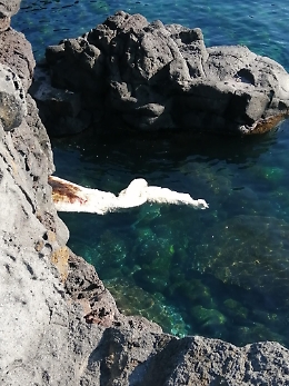 Carcassa in decomposizione al lungomare di Catania