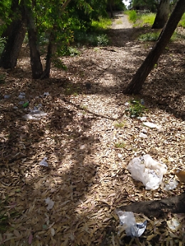 Marina di Cottone: «L'unica cosa che funziona sono gli stalli a pagamento!»