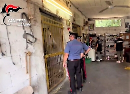 Corse clandestine dei cavalli e l'ombra dei clan etnei: altri 5 denunciati, Lampo e Agente Segreto "salvati"