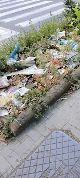 Catania: aiuole «fiorite» al Viale Vittorio Veneto