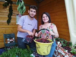 La ciliegia "gioiello" dell'Etna, Lollobrigida: &laquo;Produttori i veri ambientalisti&raquo;