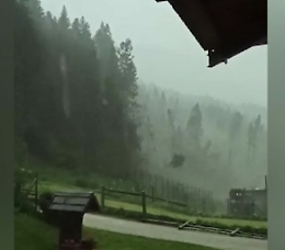 Tromba d'aria devasta il Cadore, alberi secolari gi&ugrave; come dei birilli: il video shock