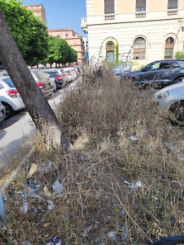 Catania: piazza Lanza "circondata" dalla sporcizia