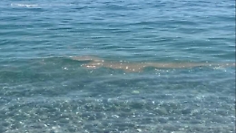 Mascali, nel mare di Fondachello spunta una macchia marrone: turisti in fuga