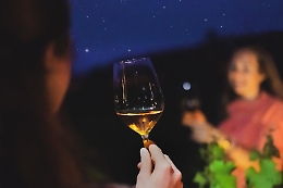 Torna "Calici di stelle in Sicilia, appuntamenti fino al 20 agosto. Ecco le cantine che aderiscono