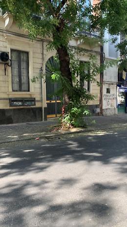 Catania: marciapiedi invasi dalle erbacce in via Plebiscito