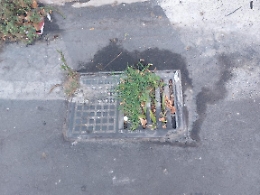 Catania: tombini otturati...si attende la prima pioggia