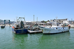 Le marinerie siciliane sempre più in crisi tra flotte vecchie e leggi datate