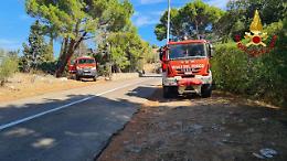 Incendio a Palermo su Monte Pellegrino, l'allarme dato da un cane