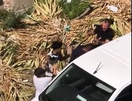 Tenta di scippare una vecchietta, linciato dalla folla a Roma: il video fa il giro del web