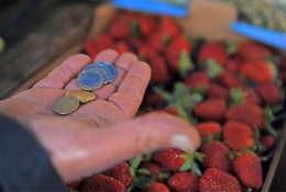 Accordo per bloccare i prezzi fino a fine anno: come funziona