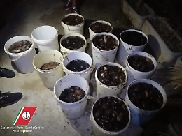 Sciacca, beccati tre pescatori di frode con 100 chili di cetrioli di mare e mille ricci