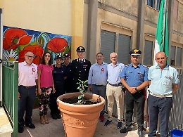 Alessandria della Rocca, al "Manzoni" la talea di Falcone