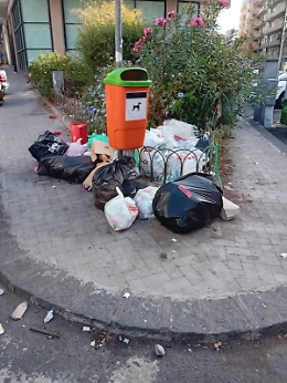 Catania: «Che bella aiuola!»