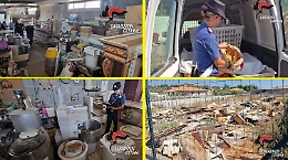 Sfornava pane in un deposito a Belpasso tra vecchie masserizie: denunciato