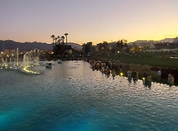 Anatroccolo nelle piscine del nuovo molo di Palermo: recuperato dai sommozzatori dei vigili del fuoco