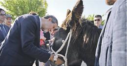 Ambelia, grandeur e oblio del sito nel cuore di Musumeci