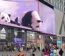 Il display pubblicitario 3D in Cina che lascia di stucco