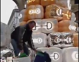 Gli attivisti di Ultima Generazione hanno imbrattato l’albero di Natale di Gucci a Milano