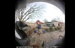 Sta per aprire la porta ma trova un serpente a sonagli