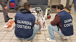 Sequestrate due tonnellate di pesce: il bilancio dell'operazione Spinnaker della Guardia costiera