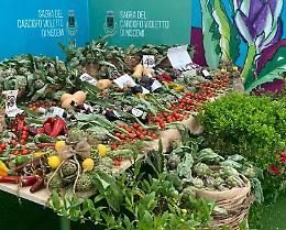 Carciofo di Niscemi: tesoro violetto tra sapori e sfide