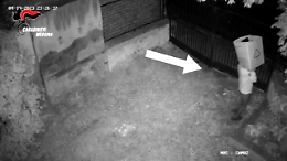 Depredano una scuola, una sede scout e una rimessa per barche: tre catanesi arrestati per i furti a Patti