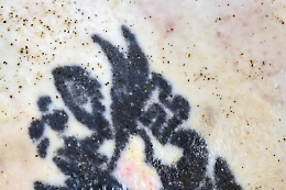 Resta solo un tatuaggio per cercare di dare un nome al cadavere trovato in spiaggia