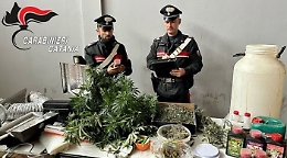 Lei si trasferisce altrove e nella casa sfitta qualcuno coltiva marijuana: caccia ai pusher di Picanello