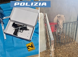 Sotto terra a Nesima un arsenale e quasi un chilo di droga: il blitz della Polizia