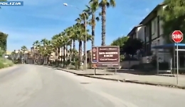 Mafia dei pascoli nel Belice, dopo gli arresti caccia al bestiame non censito