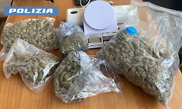 Via Ustica, un chilo di marijuana nella casa di un incensurato trovato grazie al fiuto del cane Maui