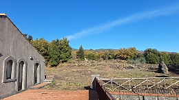 Spazio alla bellezza con Matre Terra: grande evento di clean up dei boschi intorno a Casa della Capinera