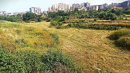 Centro direzionale Cibali, «non può essere solo un parco: lì servono case e strade»