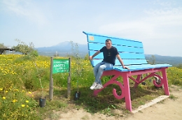 A Centuripe c'è un deserto che fiorisce grazie ai "semi" della legalità