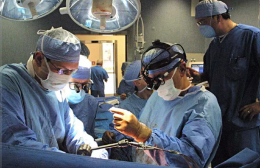 Dona rene alla figlia a 77 anni: l'eccezionale caso all'Ismett di Palermo