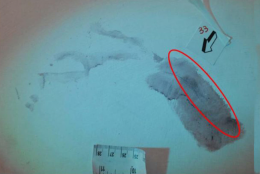 Garlasco e il mistero delle impronte: ci sono le ignote e la numero 10 oltre quella di Sempio
