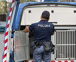 Cocaina nascosta in una tappezzeria a San Cristoforo: arrestato un 24enne