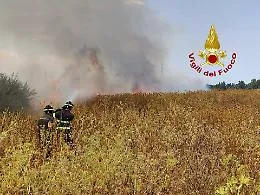 Dopo gli incendi una direttiva sulla verifica delle aree percorse dal fuoco per scongiurare ogni forma di speculazione