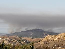 In fiamme il bosco di Monte Sara: distrutti tratti di macchia mediterranea