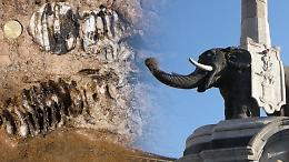 I resti di un elefante nano ritrovati a Fontane Bianche: fino a cinquecentomila anni fa scorrazzava in Sicilia